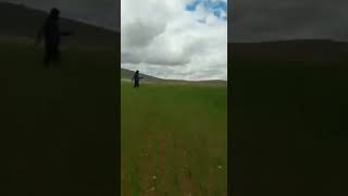 Babamın tarlası