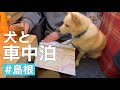【犬と車中泊】毎日雨降る中、島根の道の駅を車中泊しながら出雲まで行きました