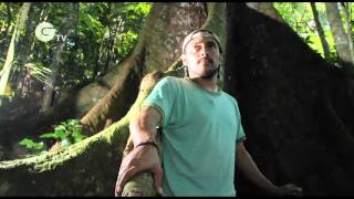 Carlos Vasquez Almazan   amphibian conservation in Guatemala