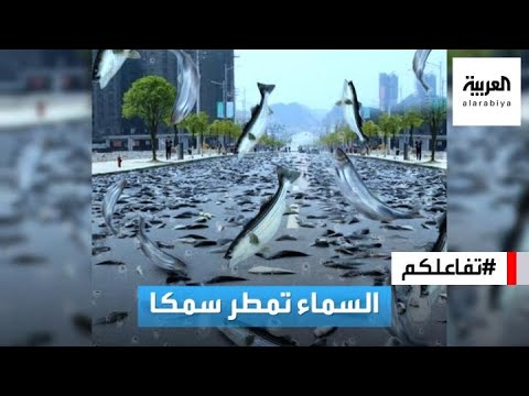 فيديو: أي بلد تمطر الأسماك؟