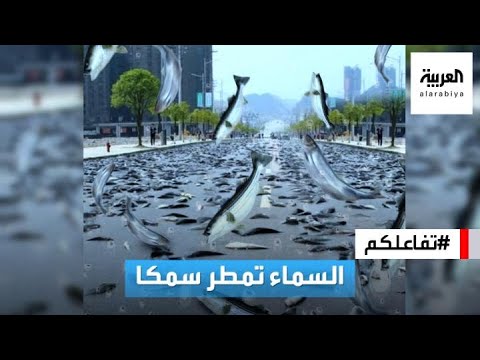 تفاعلكم مشهد صادم السماء تمطر سمكا