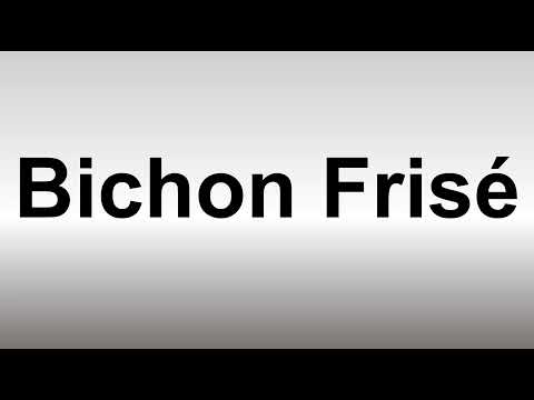 วีดีโอ: โรคนี้มีผล 80% ของ Bichon Frises ลูกของคุณเป็นทุกข์อย่างเงียบ ๆ ?