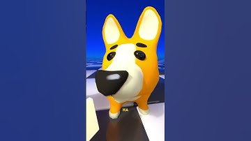 ЭТО КАКОЙ ВИД ПЁСИК? ЭТО ЧЕРЕПАХА!!  #brainrot #korgee #мем