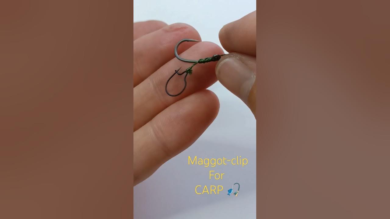 BAS DE LIGNE MONTÉS MAGGOT CLIP RIG