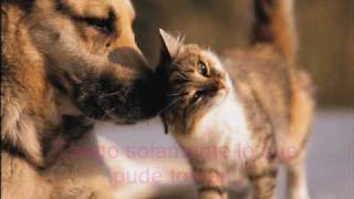 The Corrs - What Can I Do (Español)