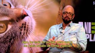 JACKSON GALAXY DE MI GATO ENDEMONIADO EN ENTREVISTA PARA CONEXIÓN CLARO