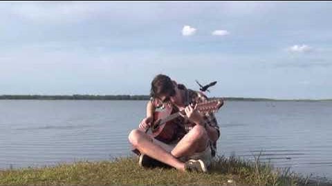 12 String American Primitive Style "Alligator Meditation", Myakka State Park