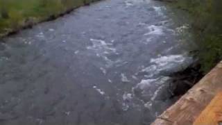 Water flow-in reverse