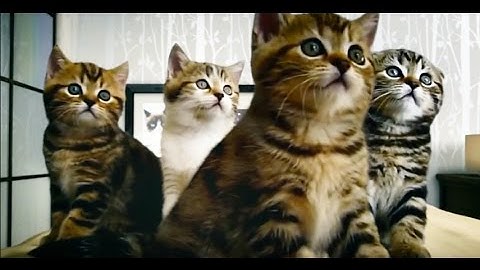 This is Happening - Twitter UK