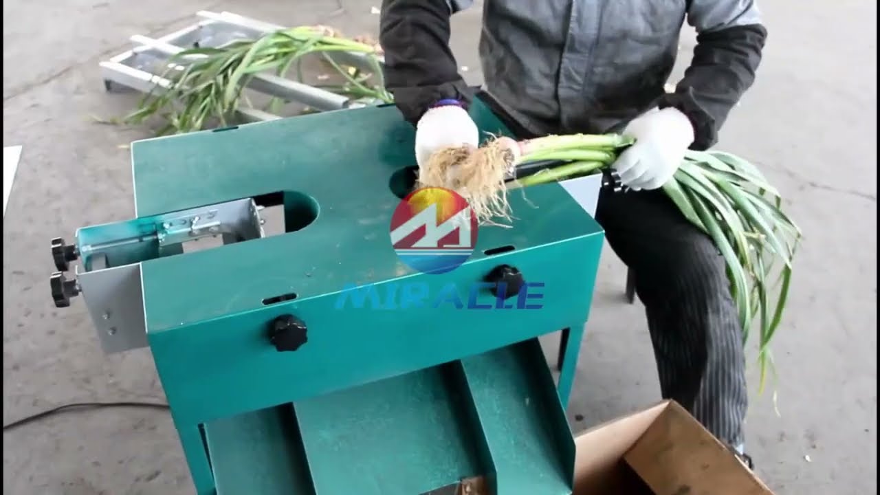 Fresh Garlic Stem And Root Cutting Machine for Sale! 
