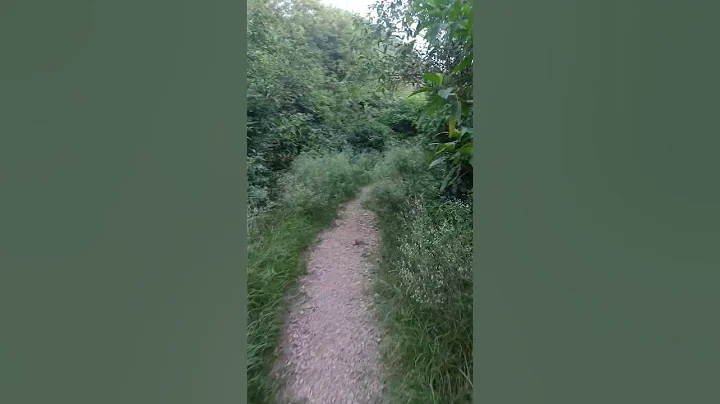 Beautiful but a scary hiking track. Deman e koh #automobile#nature #cute #viralshorts #viralvideo