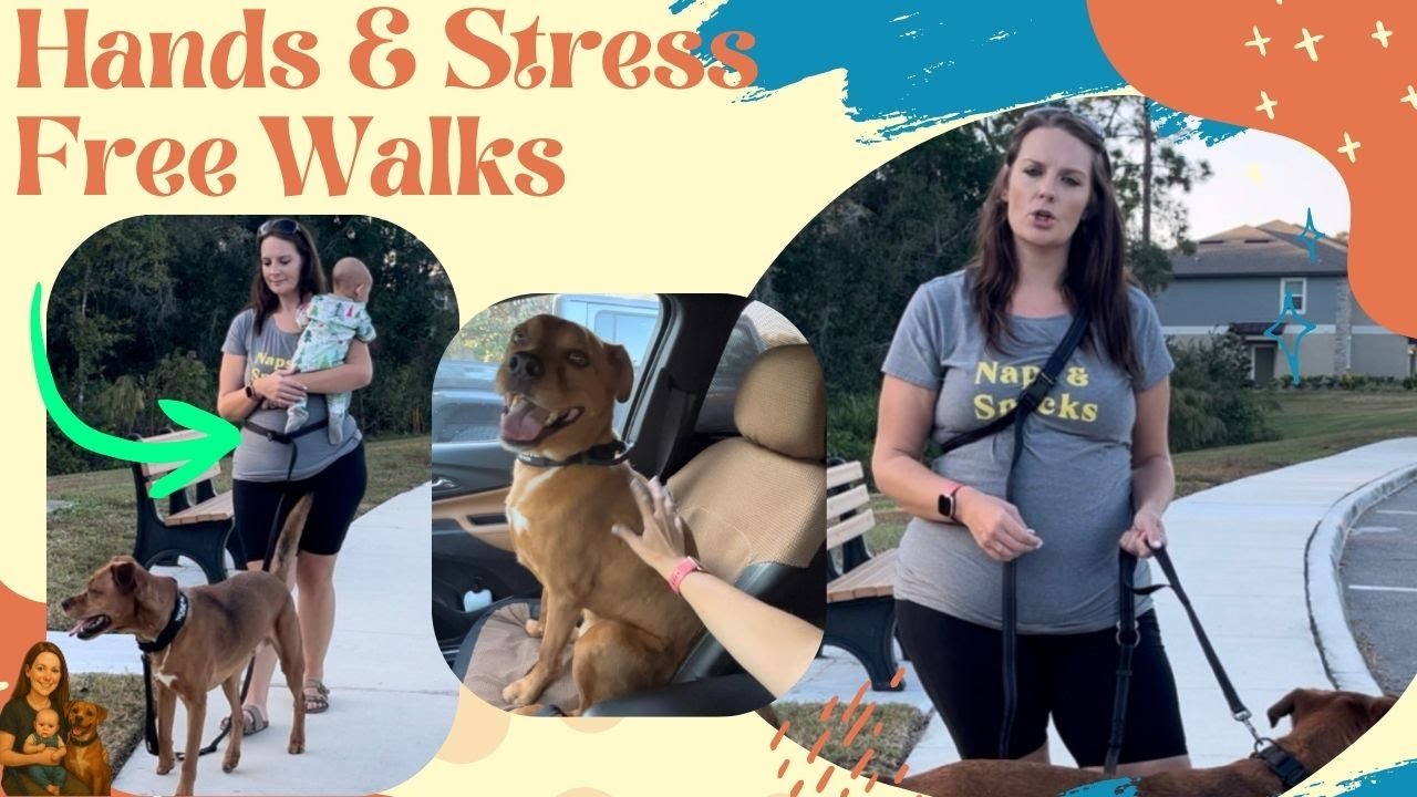 Can This 9FT Crossbody Adjustable Dog Leash with Car Buckle REALLY Keep Your Dog Safe?