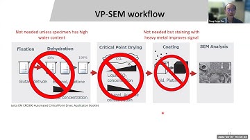 Variable Pressure SEM - Scanning electron microscopy of biological samples without any preparation