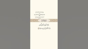 سورة النبأ#قرآن#قرآن_كريم#قران #قران_كريم #حالات #اكسبلور #رمضانمبارك #دويتو #لايك #تيك_تو #فلسطين