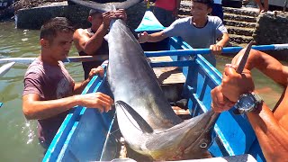 Jackpot! Nakahuli ng Blue Marlin | Big Fish Traditional Fishing never Seen Before