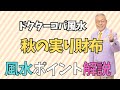 【秋の実り財布】仕事運アップにおススメのお財布は?