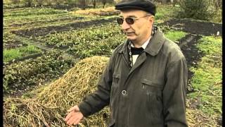 Компост – это чёрное золото!(, 2015-12-04T13:09:35.000Z)