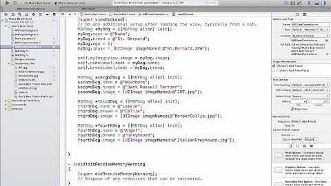 How to manage Multiple Class Object in Objective C - Tutorial 32
