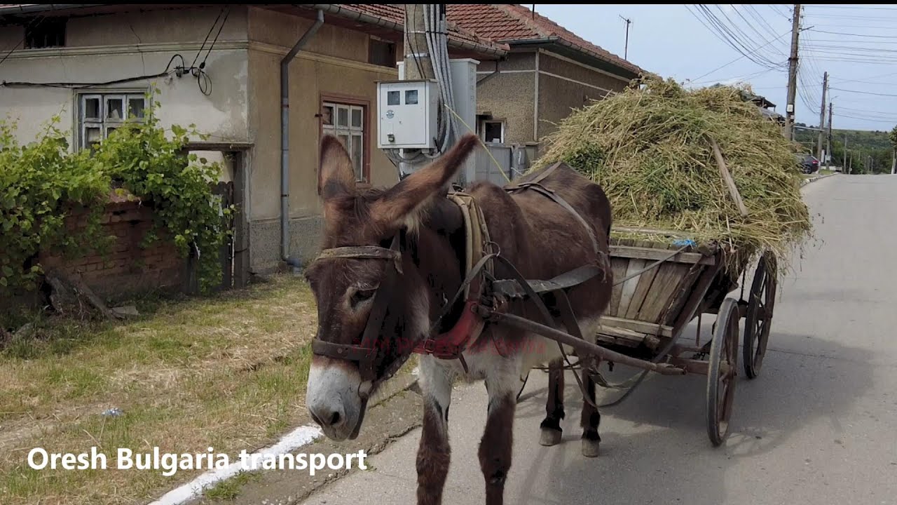 Bulgaria house revisited