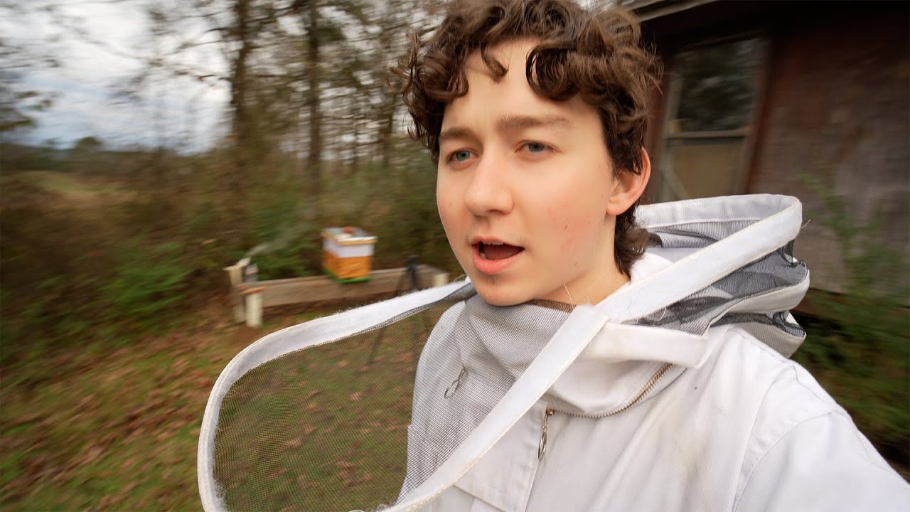 The Final Hive Inspection Before Winter