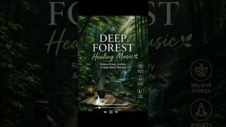 [PLAYLIST] Deep Forest Healing Music / 🌿 마음이 편안해지는 숲속 힐링 음악   비밀의 화원 (Secret Garden)