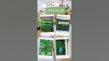 Mẫu tường cây giả đẹp #tuongcaygia