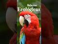 RELAÇÕES ECOLÓGICAS
