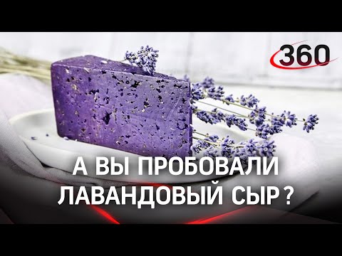 Микробиолог из Сергиева Посада бросила работу и ушла варить сыр с лавандой