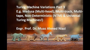 Turing Machine Variations (Medusa, Multi-track, Multi-tape, NTM Universal Turing Machines!)