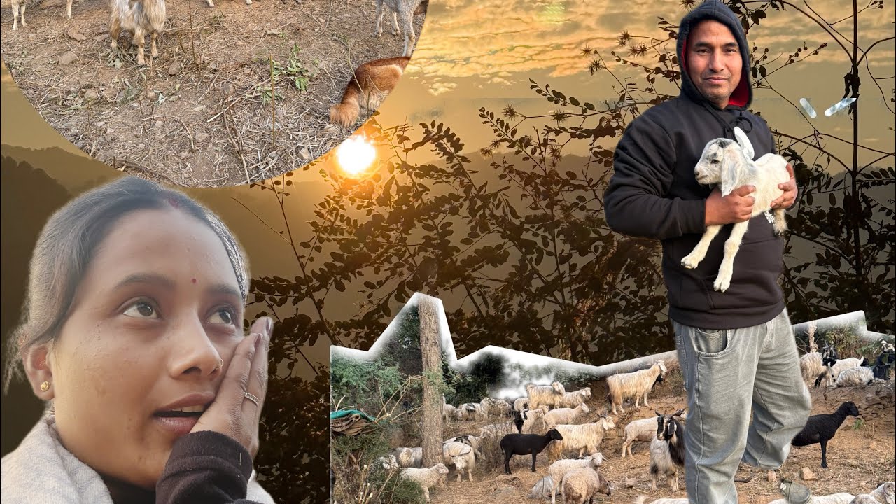 Pehli baar dekhe itne 🐏🐑😳😳