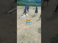 kabaddi competition