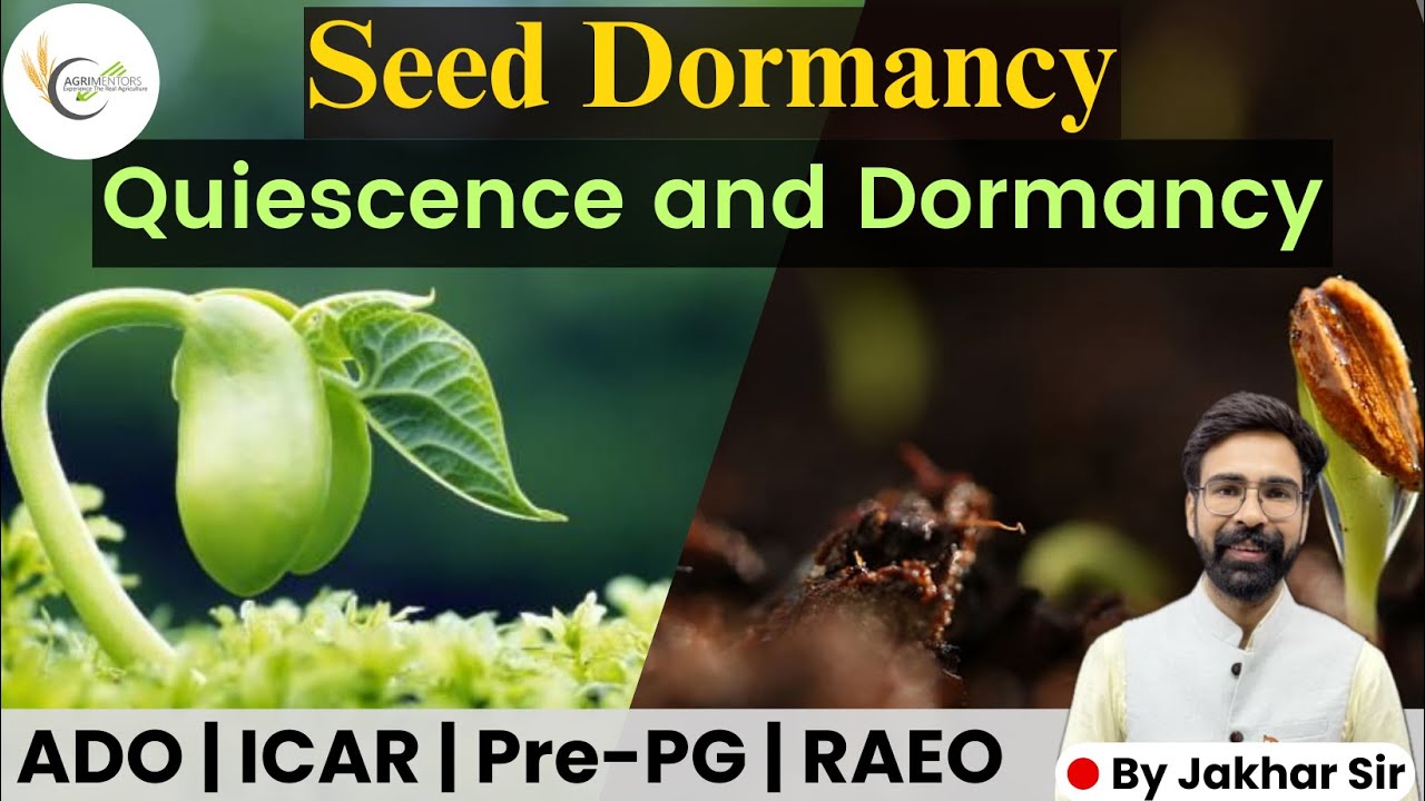 Seed Dormancy | Quiescence and Dormancy Difference | Type of Dormancy | 