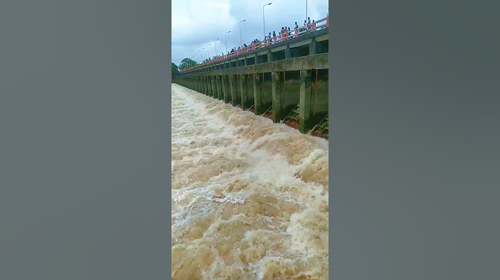 ভারত থেকে বন্যার পানি বাংলাদেশের দিকে ছেড়ে দিয়েছে।