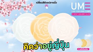 เปลี่ยนห้องธรรมดาให้เหมือนอยู่ญี่ปุ่น!! อยากได้โคมไฟสไตล์ญี่ปุ่นต้องดู