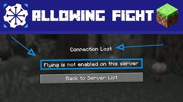 How to Enable Flight on your Minecraft Server!