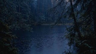 Midnight Rain in Silent Forest | Sleep Faster & Stress Relief