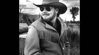 Watch Hank Williams Jr Just Like Me video