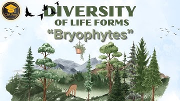 Diversity of Life Forms: Bryophytes | Plant Evolution & Classification | Dr. Shraddha | CSIR Unit 9