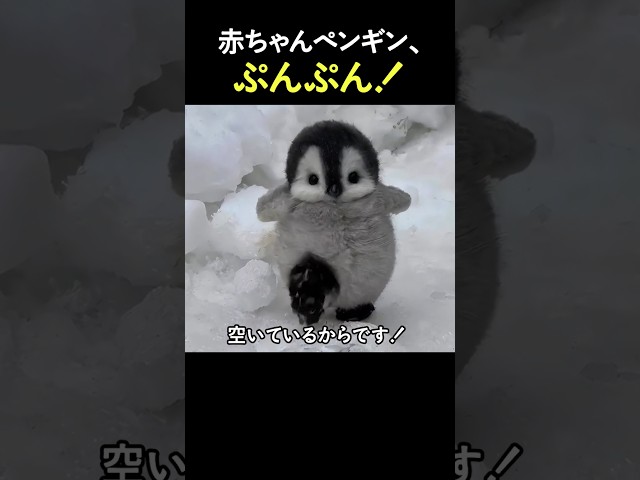 お手軽かわいいペンギン