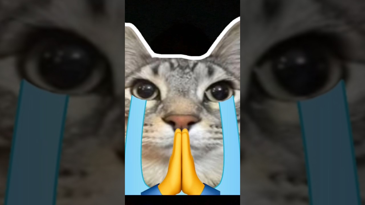 First video uploaded checkout 