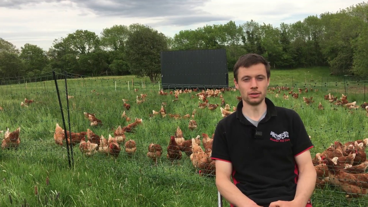 Heather Hill Farm The Journey YouTube