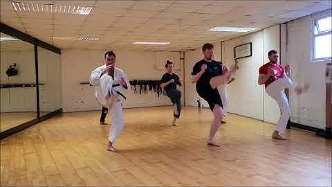 HDKI Grading Syllabus - 1st Kyu Kihon