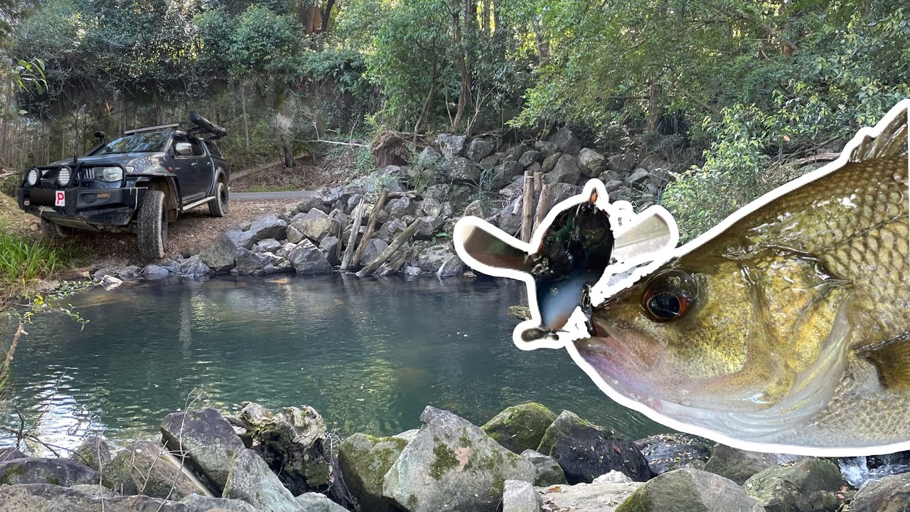 Catching BASS With CICADA Lures!