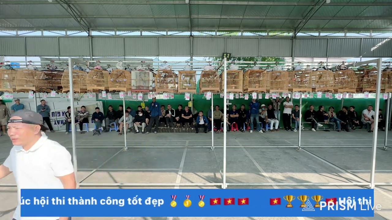 Hội thi chim chào mào đấu hót clb tuổi trẻ Nam Tiền Hải ngày 21/12/2025