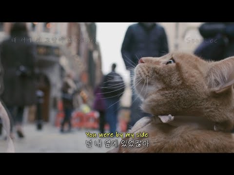 [내 어깨 위 고양이 밥] 사랑하는 반려동물이 곁을 떠날 때, Honne(혼네) - By my side [가사/해석/자막/lyrics] / A Street Cat Bob(2016)