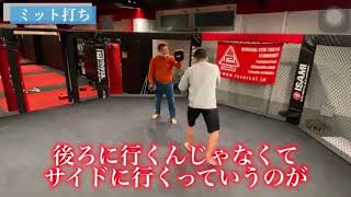堀口恭司の柔らかすぎるミット打ち　#堀口恭司 #rizin #ボクシング