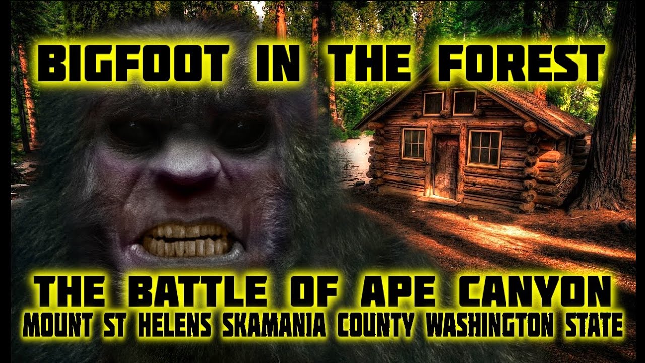 BIGFOOT IN THE FOREST - APE CANYON INCIDENT - YouTube