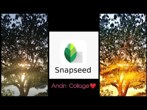 make collage in snapseed make collage in snapseed