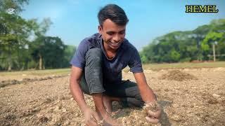 দিন শেষে আমি একজন কৃষক হতে চাই💎/ At the end of the day I want to be a farmer🧺
