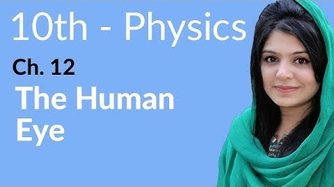10th Class Physics Chapter 12 - The Human Eye - Class 10 Physics Chapter 3